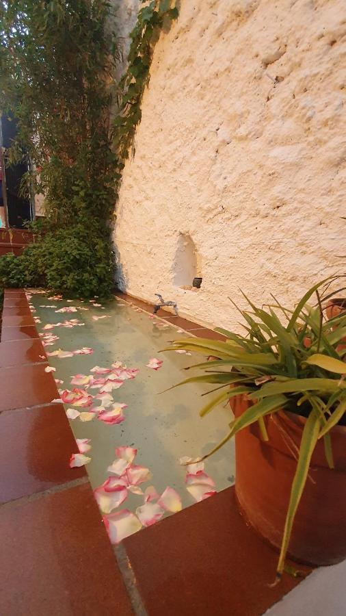 شقة غرناطة  في Casa Bambu المظهر الخارجي الصورة